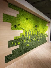 Preserved Reindeer Moss Wall -  Indoor Green Wall