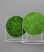 Circular Moss Screen