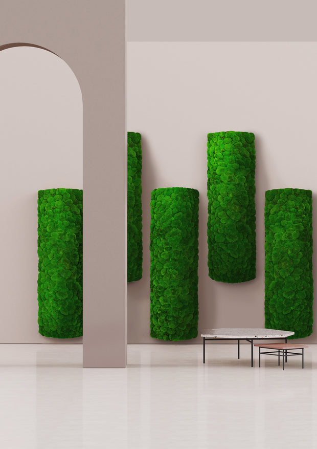 Acoustic Moss Pillars