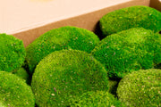 Preserved Ball Moss | Light Green Bulk Box