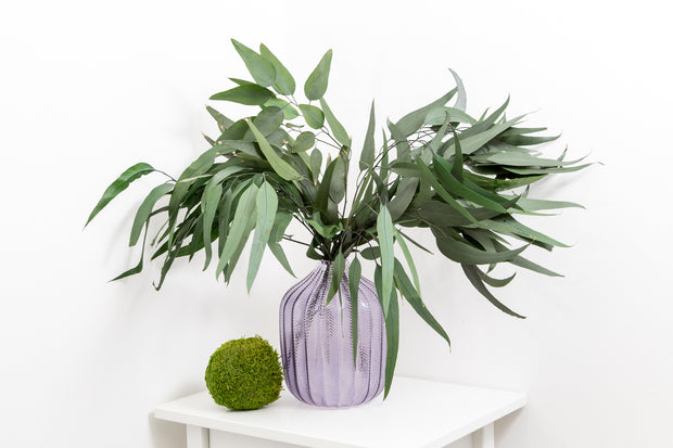 Preserved Fresh Eucalyptus Willow Leaves & Branches – Green