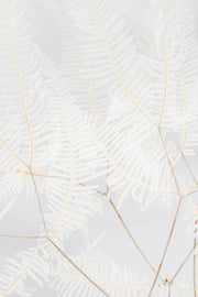 Preserved White Ferns