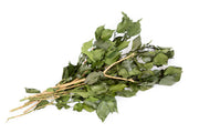 Preserved Fresh IVY Leaves & Branches