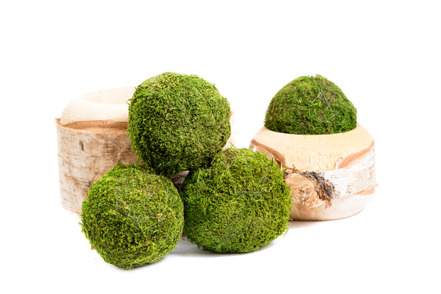 Preserved Moss Balls - 8-10cm Green - Pack of 4